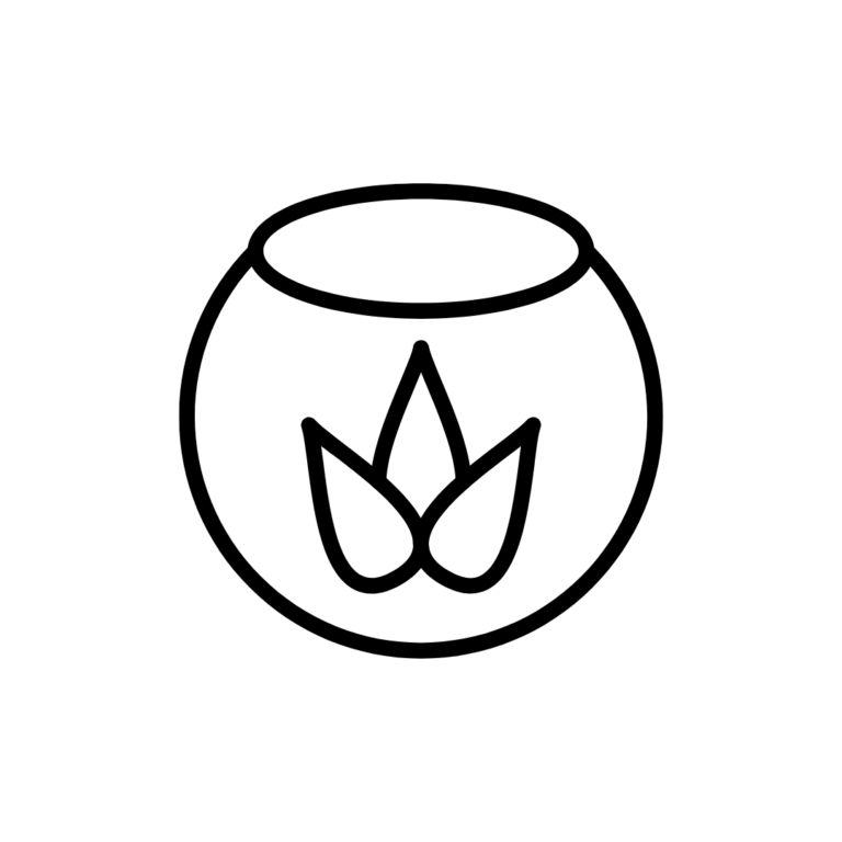 Terrarios | Mini jardines